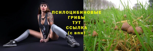 первитин Пересвет
