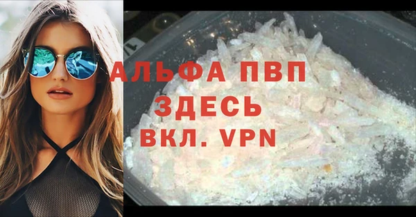дмт Пестово