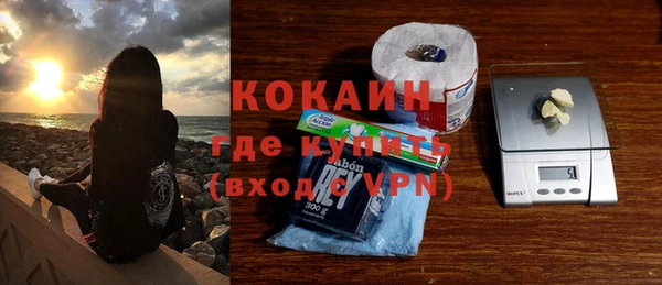дмт Пестово