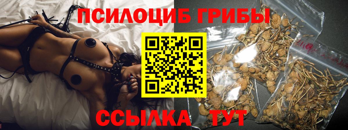 Псилоцибиновые грибы Psilocybine cubensis Серов